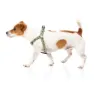 Fuzzyard Active Strap Hundegeschirr