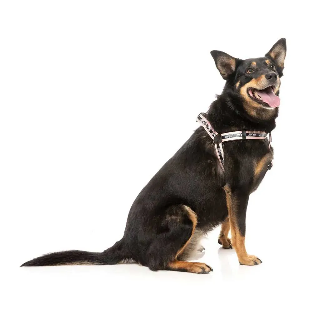 Fuzzyard Active Strap Hundegeschirr Fuzzyard Active Strap Hundegeschirr