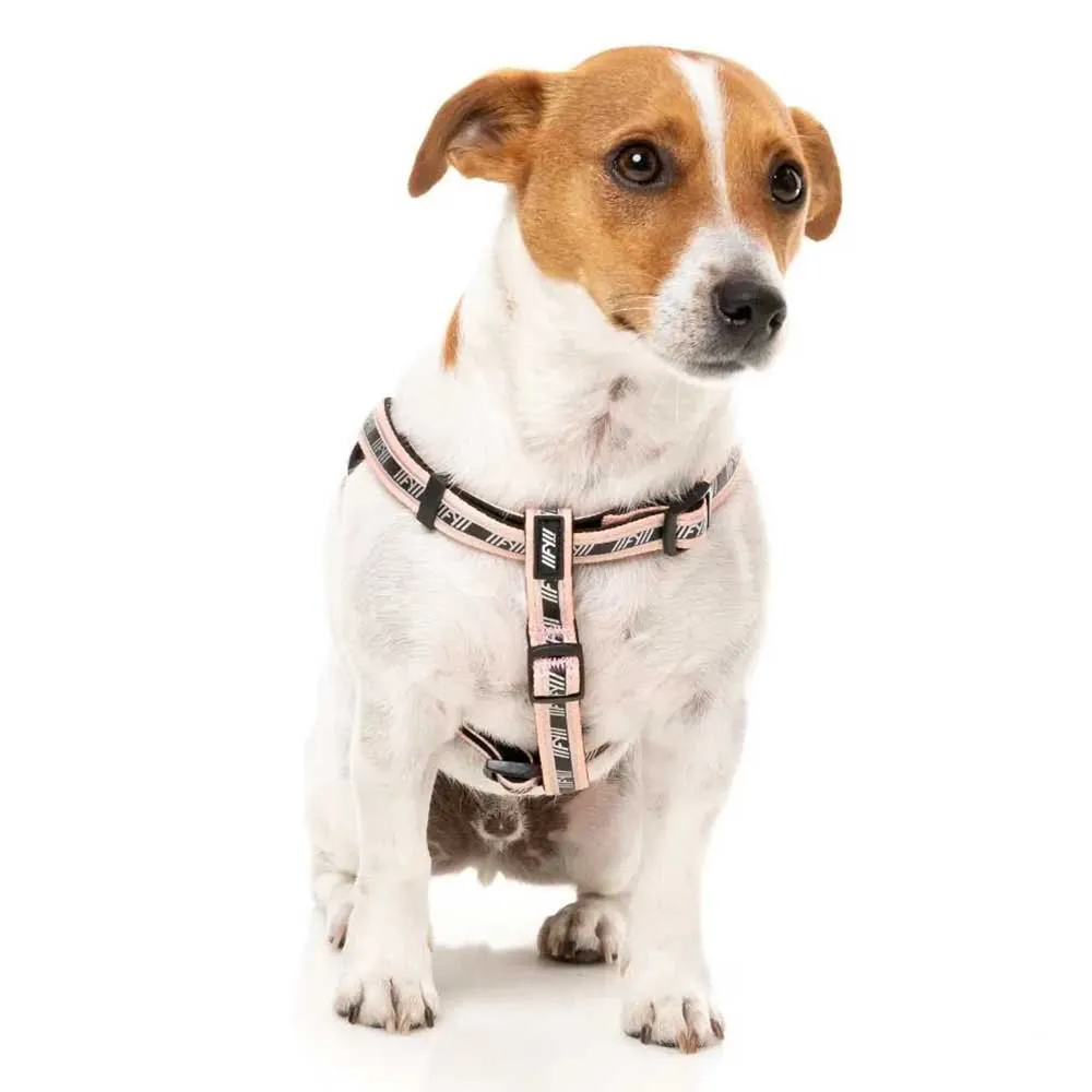 Fuzzyard Active Strap Hundegeschirr Fuzzyard Active Strap Hundegeschirr