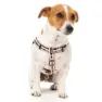 Fuzzyard Active Strap Hundegeschirr