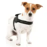 Fuzzyard Blackout Hundegeschirr