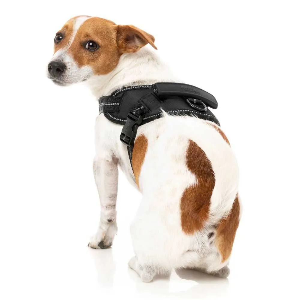 Fuzzyard Blackout Hundegeschirr Fuzzyard Blackout Hundegeschirr