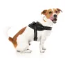 Fuzzyard Blackout Hundegeschirr