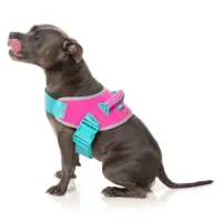 Fuzzyard Bubblegum Hundegeschirr Fuzzyard Bubblegum Hundegeschirr