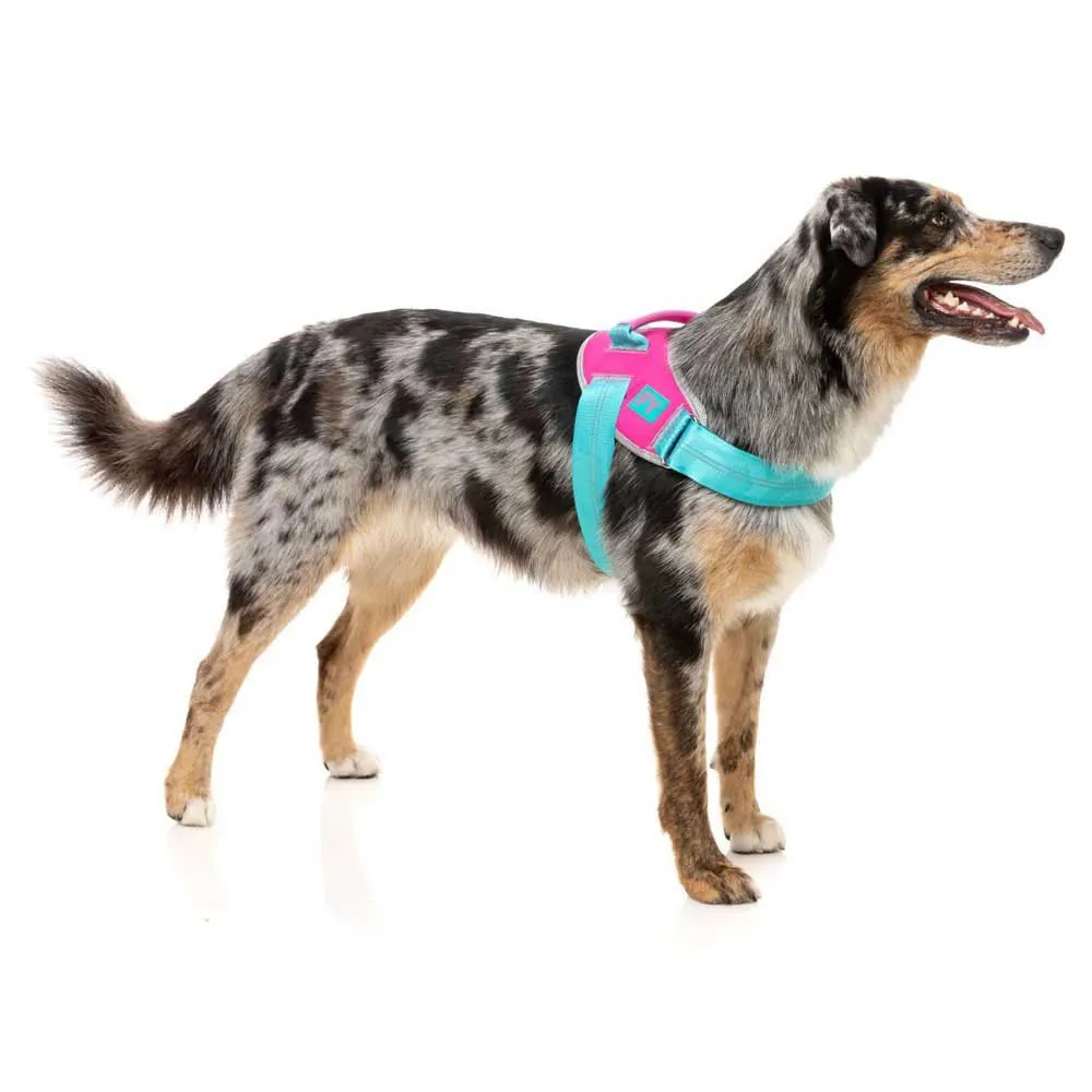 Fuzzyard Bubblegum Hundegeschirr Fuzzyard Bubblegum Hundegeschirr