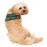 Fuzzyard Commando Hundegeschirr