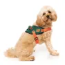 Orange / green