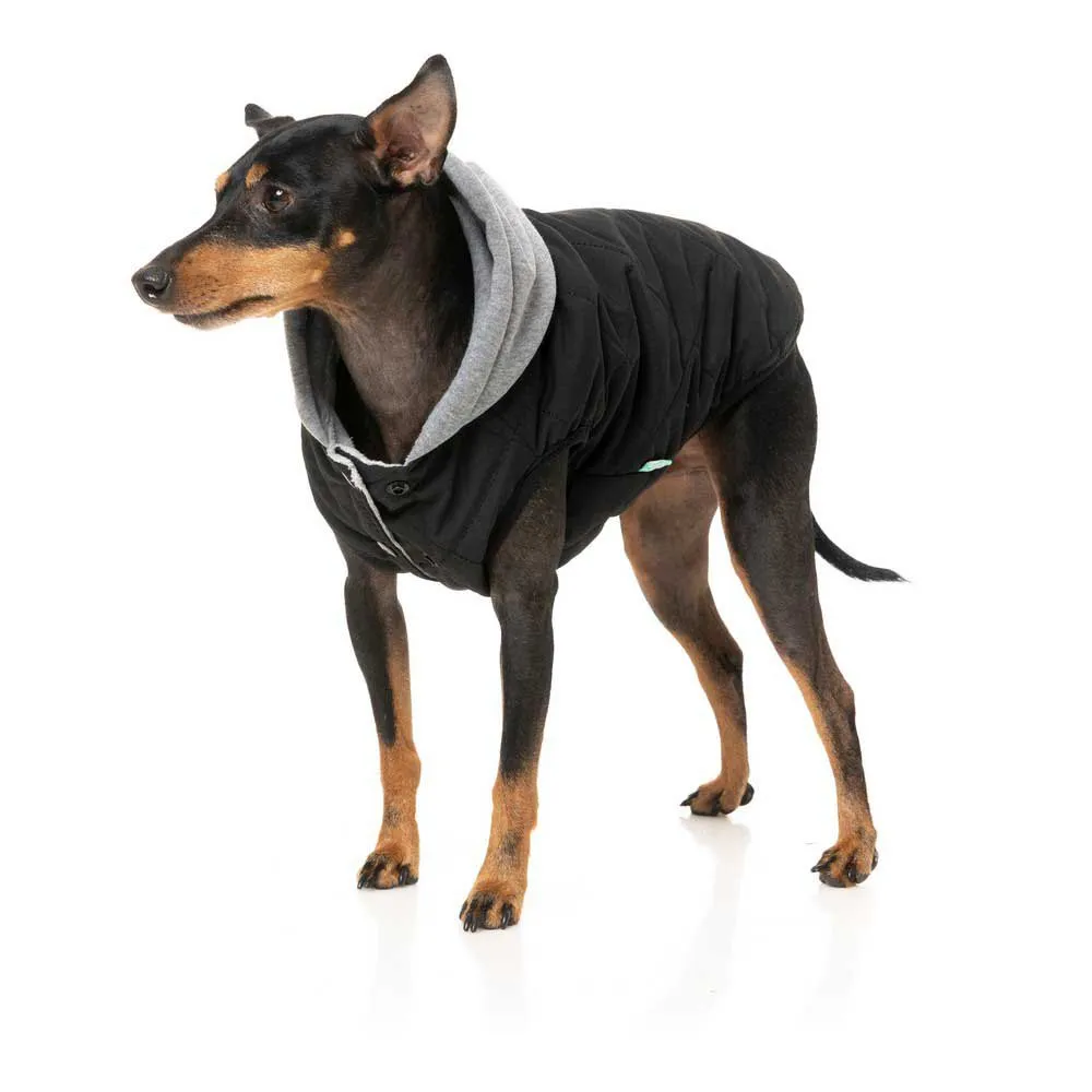 Fuzzyard Cremorne Hundejacke Fuzzyard Cremorne Hundejacke