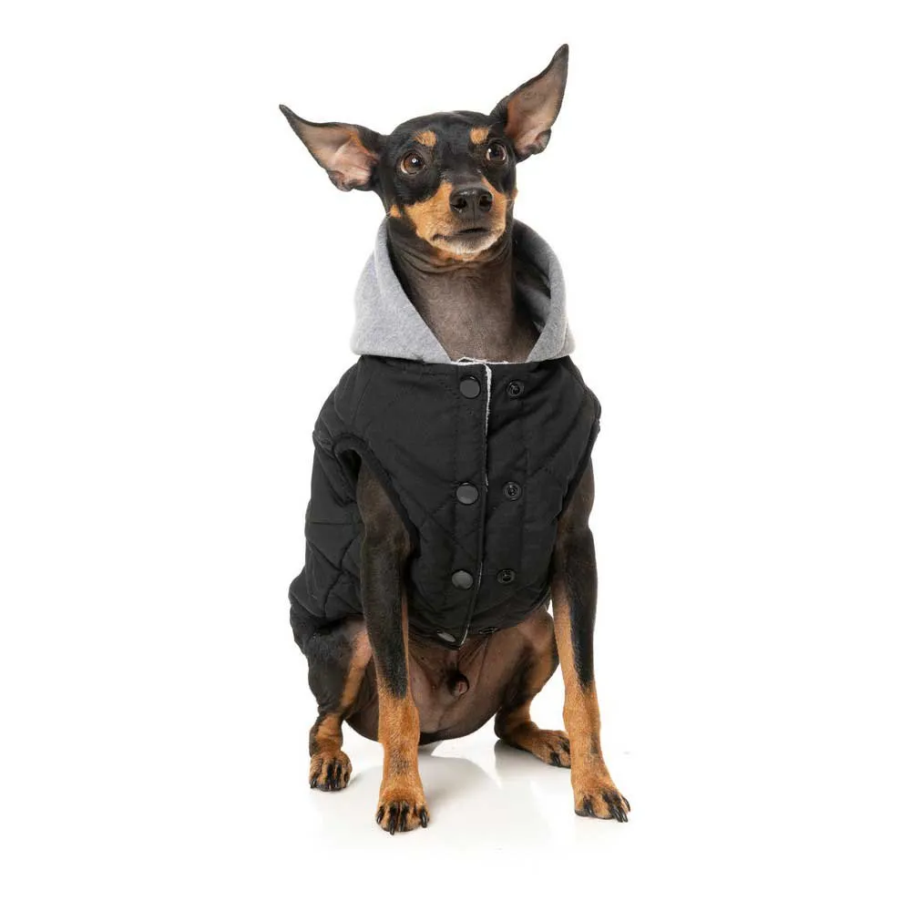 Fuzzyard Cremorne Hundejacke Fuzzyard Cremorne Hundejacke