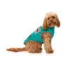 Fuzzyard Fitzroy Hundejacke