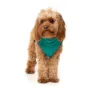 Fuzzyard Fitzroy Hundejacke