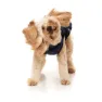 Fuzzyard Fitzroy Hundejacke