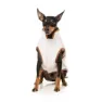 Fuzzyard Ivanhoe Hundejacke