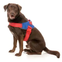 Fuzzyard Patriot Hundegeschirr Fuzzyard Patriot Hundegeschirr