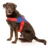 Fuzzyard Patriot Hundegeschirr