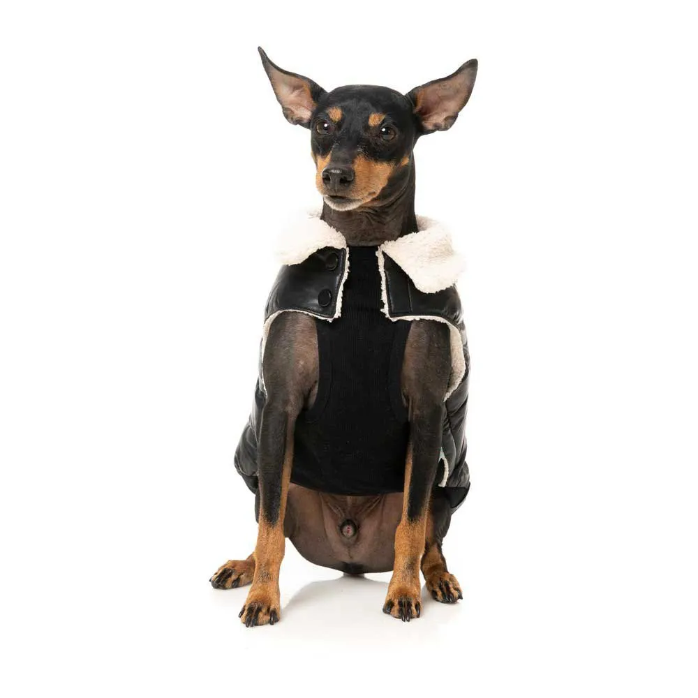 Fuzzyard Sebastian Hundejacke Fuzzyard Sebastian Hundejacke