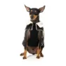 Fuzzyard Sebastian Hundejacke