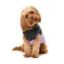 Fuzzyard South Harlem Hundejacke