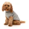 Fuzzyard Stevie Hundejacke
