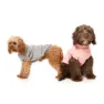 Fuzzyard Stevie Hundejacke