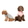 Fuzzyard Stevie Hundejacke