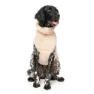 Fuzzyard Turtle Teddy Hundejacke