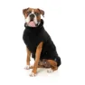 Fuzzyard Turtle Teddy Hundejacke