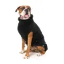 Fuzzyard Turtle Teddy Hundejacke