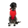Fuzzyard Zoomies Hundejacke