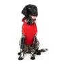 Fuzzyard Zoomies Hundejacke