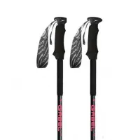 Gabel Escape Carbon Tour Lite Ai Stöcke Gabel Escape Carbon Tour Lite Ai Stöcke