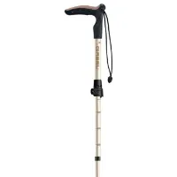 Gabel Explorer Wired F.l Xts Stöcke