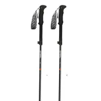 Gabel Ibex Carbon Xtl Stöcke