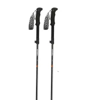 Gabel Ibex Carbon Xts Stöcke Gabel Ibex Carbon Xts Stöcke