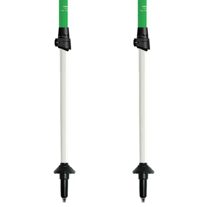 Gabel Nordic Energy F.l Stöcke, Multicolor, 70-110cm Gabel Nordic Energy F.l Stöcke, Multicolor, 70-110cm