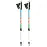Gabel Nordic Energy F.l Stöcke, Multicolor, 70-110cm
