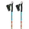 Gabel Nordic Energy F.l Stöcke, Multicolor, 70-110cm