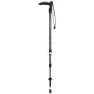 Gabel Voyager F.l A.i Stöcke, Green, 56-110cm