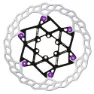 Silver / purple
