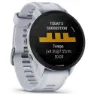 Garmin Forerunner 955 GPS Lauf- und Triathlon-Smartwatch