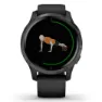 Garmin Venu Uhr, Black