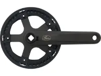 Gates Carbon Drive CDN S250 Kurbelgarnitur mit Schutzring Gates Carbon Drive CDN S250 Kurbelgarnitur mit Schutzring