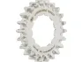 Gates Carbon Drive CDX:EXP Hintere Riemenscheibe Rohloff Spline