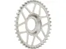 Gates Carbon Drive CDX:EXP Vordere Riemenscheibe Pinion, Grau, 39t