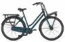 Hersteller-pine green gloss