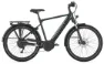 Gazelle Medeo T10 HMB pine green gloss 27,5" 500 Wh Diamant