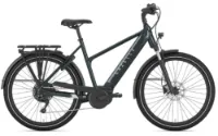 Gazelle Medeo T10 HMB pine green gloss 27,5" 625 Wh Trapez