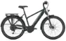 Gazelle Medeo T10 HMB pine green gloss 27,5" 625 Wh Trapez, Dunkelgrün, 55cm