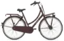 Gazelle PuurNL 7-Gang sangria red matte 2024 28" Wave, Dunkelrot, 49cm