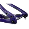 Giant Glory Advanced Legends Edition Frameset Mtb-rahmen